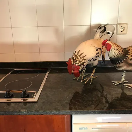 Ca De Badia Apartmán *